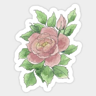 Pink Watercolor Rose Illustration Sticker